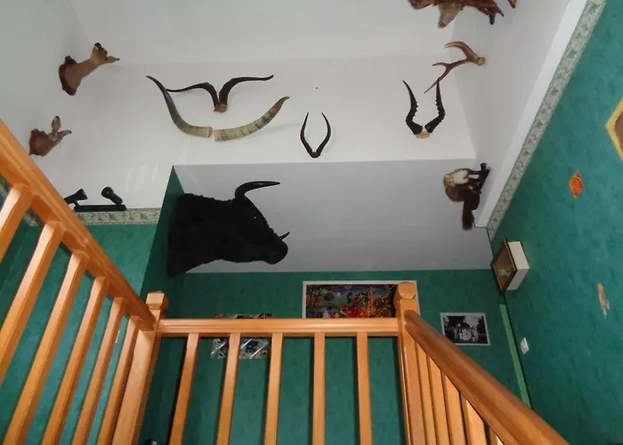 Homestay La Moutte Lhommaize